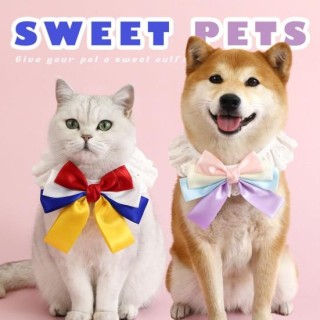 Haustierhalsband mit Spitzenschleife, Halskette mit Prinzessinnen-Motiv, für Katzen und Welpen, Band, Schal, Anhänger, Schlei