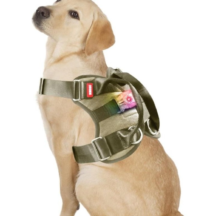 Hundewestengeschirr, multifunktional, kein Ziehen, kein Würgen, verstellbar und sicher, mit Schnellverschluss-Schnalle und D-