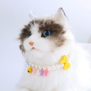 Haustier-Halskette mit Schleifen-Dekor, luxuriöse, leuchtende Farbe, mittelgroße Hunde-/Katzen-Halskette, farbecht und mit An