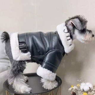 Winterkleidung, verdicktes Fell, Motorradjacke, Hundebekleidung M schwarz