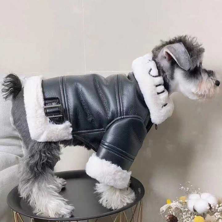 Winterkleidung, verdicktes Fell, Motorradjacke, Hundebekleidung M schwarz