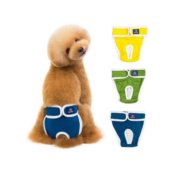 Entzückende Welpenwindel, gemütliche, weiche Textur, auslaufsichere Hygienehöschen für Hündinnen S grün