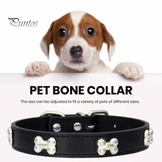 Haustierhalsband mit Knochenmuster-Design, Metallschnalle, verstellbare Größe, angenehm zu tragen, Haustierhalsband mit Leine