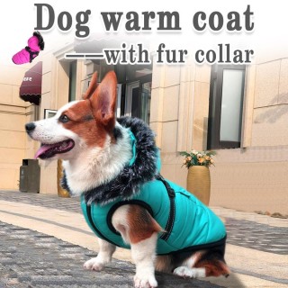Haustier-Welpen-Hundekatzen-Kleidung Herbst-Winter-warme gepolsterte Mantel-Weste-Jacken-Bekleidung S blau