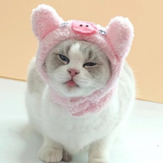 Form Cartoon Plüsch Verschluss Bänder Volltonfarbe Ultraleicht Entzückendes Aussehen Katze Hund Hut