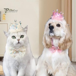 Kronenhut für Hunde, Pailletten-Spitze, Katzen-Lätzchen, Bonbonfarbenes Strass-Dekor, verstellbare Passform, langlebiges Haus