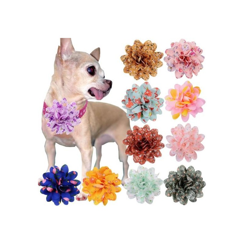 Halsband mit Blumenanhängern und Gummiband, exquisites Muster, helle Farbe, Haustierhalsband-Schiebeverschluss