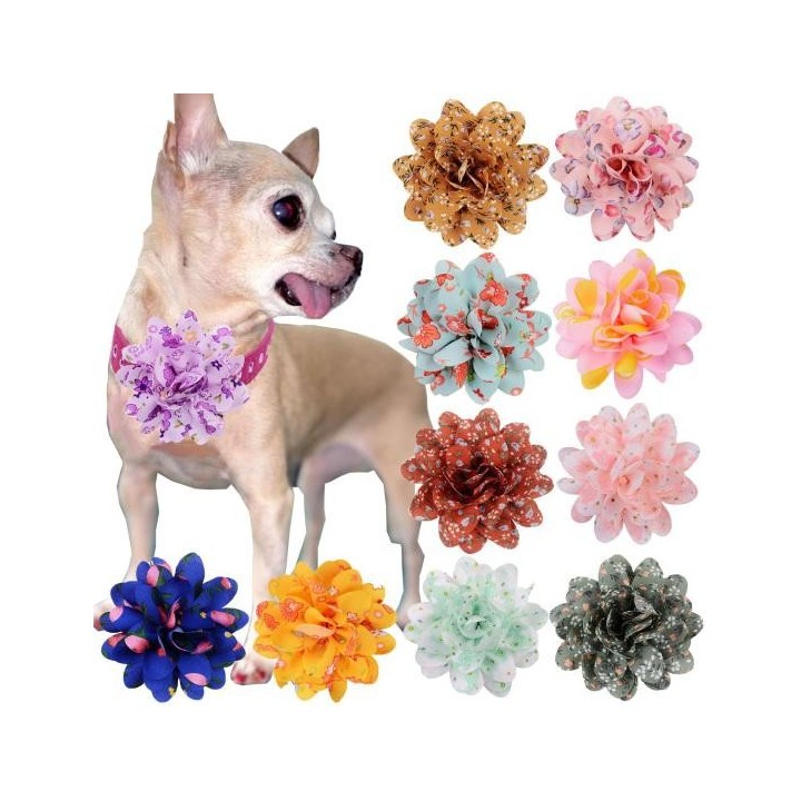 Halsband mit Blumenanhängern und Gummiband, exquisites Muster, helle Farbe, Haustierhalsband-Schiebeverschluss