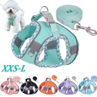 Haustiergeschirr für kleine Hunde, Leinen-Set, weiche, zugfreie, verstellbare, atmungsaktive Netzleine und Geschirrweste, Gür