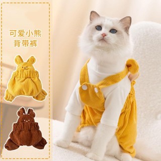 Warme Haustierkleidung, süßer Druckmantel, Hemdjacke für kleine und mittelgroße Hunde, Katzen, Teddy, französische Bulldogge,