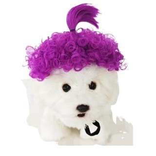 Lustige Hund Perücke für kleine mittelgroße Hunde mit verstellbaren elastischen Bändern, Haustier Cosplay Dekoration für Midd