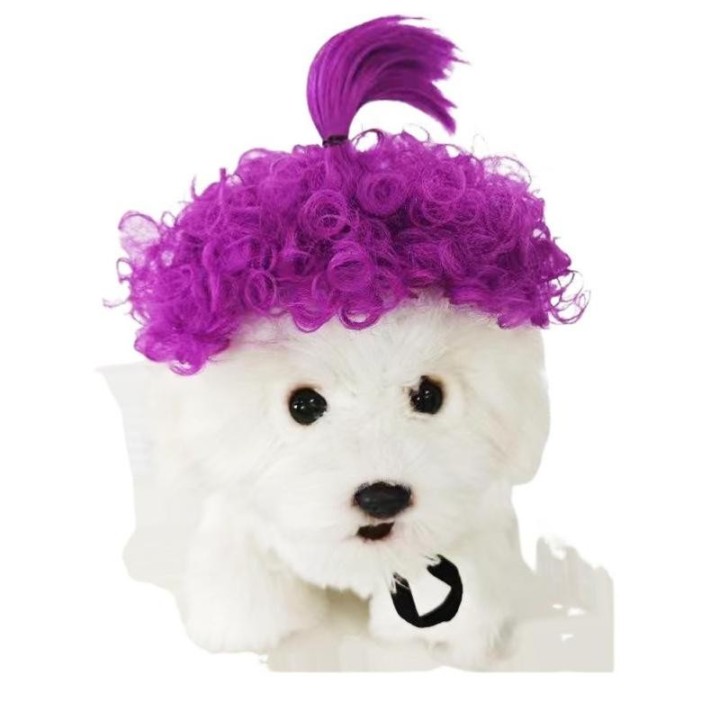 Lustige Hund Perücke für kleine mittelgroße Hunde mit verstellbaren elastischen Bändern, Haustier Cosplay Dekoration für Midd