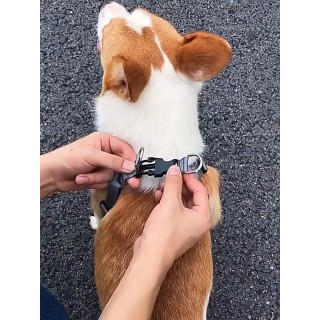 Atmungsaktives Hundegeschirr mit Leine, reflektierendes Oxford-Westengeschirr für Hunde, verstellbare Größe, kleine und mitte