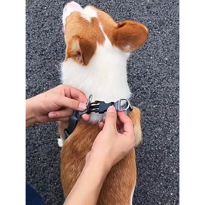 Atmungsaktives Hundegeschirr mit Leine, reflektierendes Oxford-Westengeschirr für Hunde, verstellbare Größe, kleine und mitte