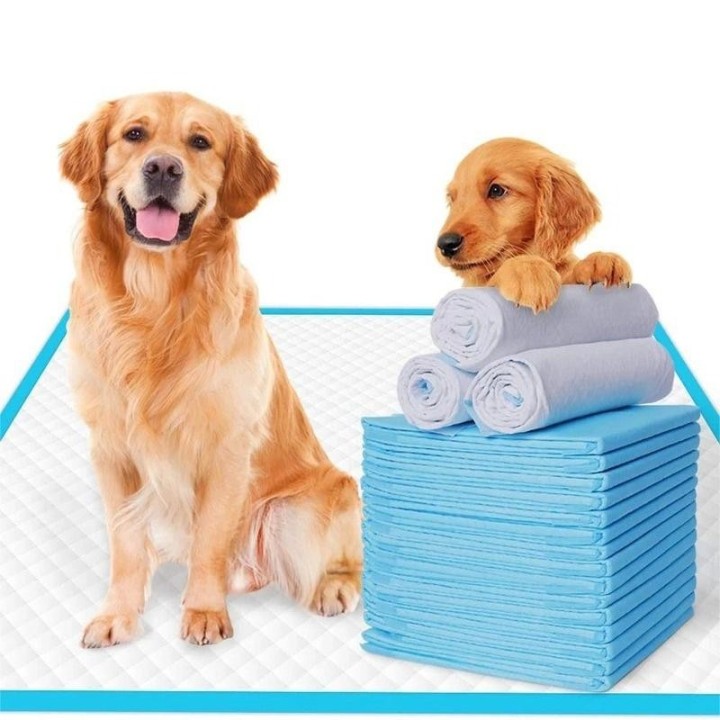 Hundetrainings-Pipi-Pads, Haustier-Windel, super saugfähig, gesunde Einweg-Windelmatte für Katzen, kleine Hunde, Windeln, Käf