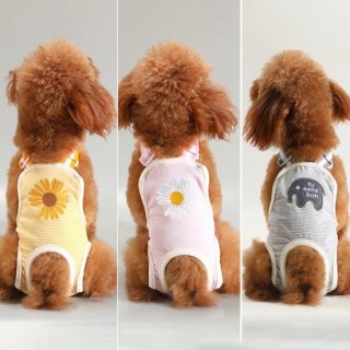 Menstruationshose für Hunde, weiche Infektion, Baumwolle, bequem, verhindert Haustier-Welpen, Blumenmuster, physiologische Wi