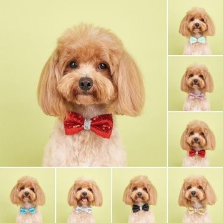 Haustier-Pailletten-Bowknot-Halsband, verstellbar, leicht, süße Katze, kleiner, mittelgroßer Hund, Welpen-Halskette, Heimtier