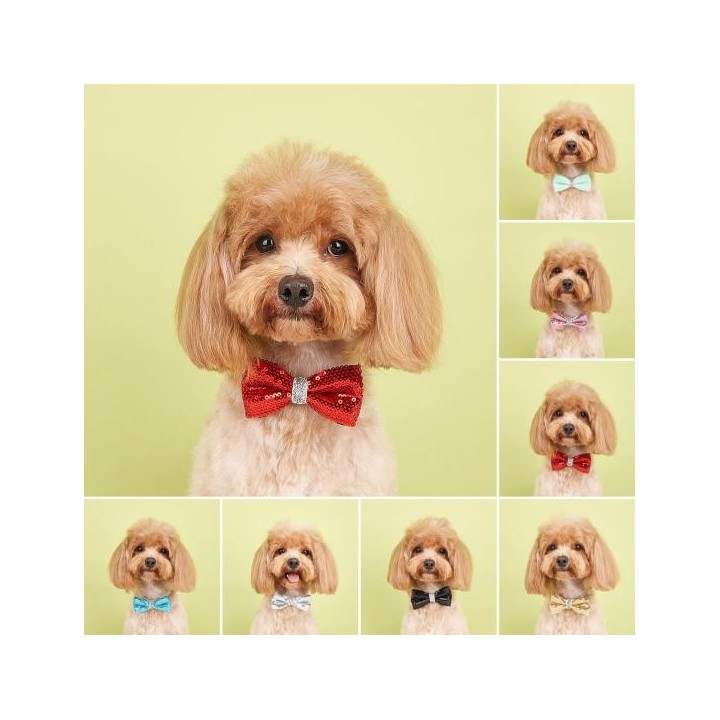 Haustier-Pailletten-Bowknot-Halsband, verstellbar, leicht, süße Katze, kleiner, mittelgroßer Hund, Welpen-Halskette, Heimtier
