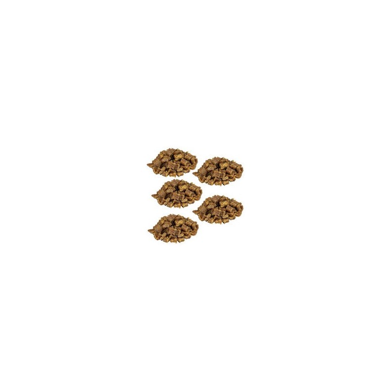 Knubbies - Mini Fleischbits für Hunde [Truthahn - 5 x 200g]