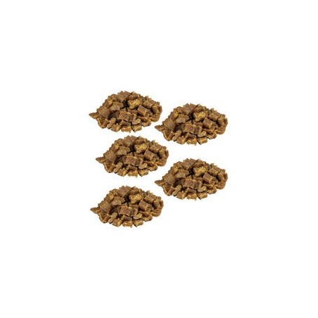 Knubbies - Mini Fleischbits für Hunde [Truthahn - 5 x 200g]