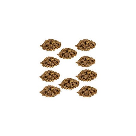 Knubbies - Mini Fleischbits für Hunde [Truthahn - 10 x 200g]