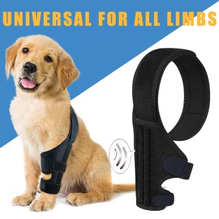 Hunde-Kniestütze für das Bein zur Unterstützung bei Kreuzbandverletzungen, bessere Genesung mit Hunde-Beinstützen für das Hin