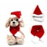Weiche Halswärmer Haustier Hund Haustier Kostüme Weihnachten Schal Hut Set Katze Hund Welpe Weihnachtskleidung S