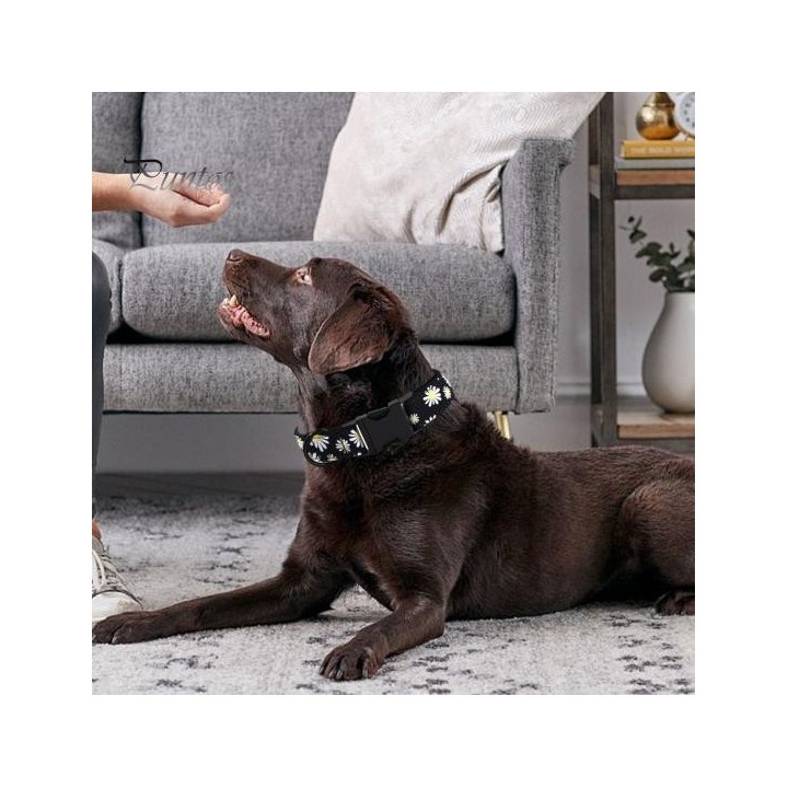Hundehalsband für Jungen und Mädchen, Welpenhalsband, verstellbar, niedliche Blumen-Haustierhalsbänder mit Sicherheitsschnall