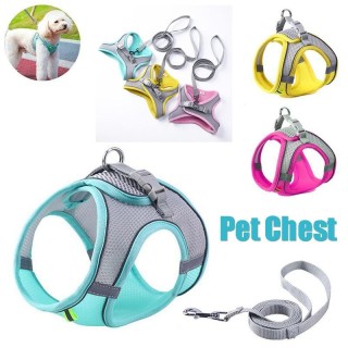 Haustier-Brustgurt, reflektierende Weste mit Leine, Outdoor-Walking-Leinen, Geschirr, Haustier-Zubehör XXS grün