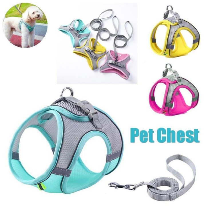 Haustier-Brustgurt, reflektierende Weste mit Leine, Outdoor-Walking-Leinen, Geschirr, Haustier-Zubehör XXS grün