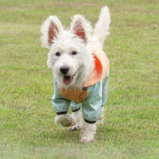 Atmungsaktiver Vierbeiner-Regenmantel für Hunde, wasserdichter Hunde-Regenmantel mit Kapuze für den Außenbereich S grau