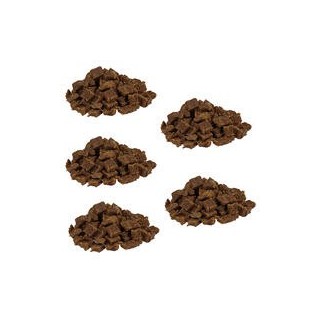 Knubbies - Mini Fleischbits für Hunde [Wildschwein - 5 x 200g]