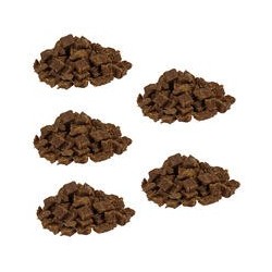 Knubbies - Mini Fleischbits für Hunde [Wildschwein - 5 x 200g]