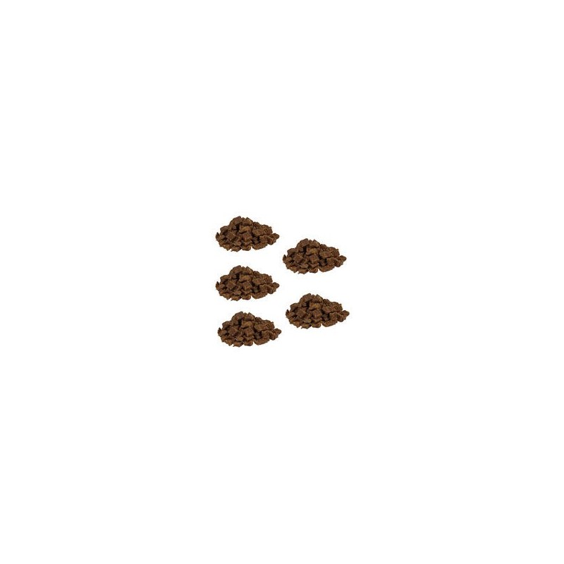 Knubbies - Mini Fleischbits für Hunde [Wildschwein - 5 x 200g]