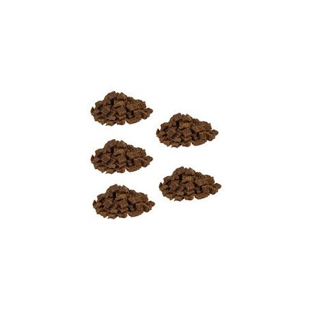Knubbies - Mini Fleischbits für Hunde [Wildschwein - 5 x 200g]