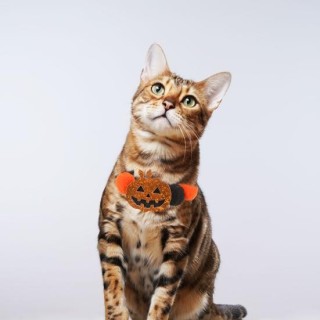 Halloween Haustierhalsband, süßes Kürbis-Fledermaus-Totenkopf-Design, Fellknäuel, Hundehalsband, elastische Welpenhalskette,