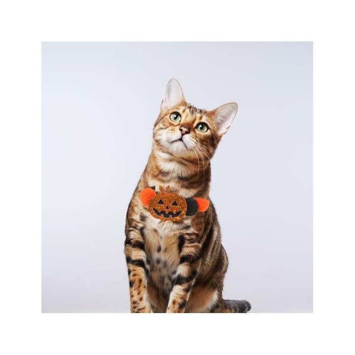 Halloween Haustierhalsband, süßes Kürbis-Fledermaus-Totenkopf-Design, Fellknäuel, Hundehalsband, elastische Welpenhalskette,