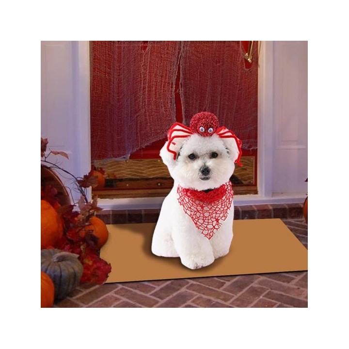 Hunde-Halloween-Haarband, Schal-Set, festlicher Spinnen-Haarschmuck, Halsband-Set, Cosplay-Kostüm, Haustier-Zubehör für Party