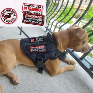 1Pc Service Hund Abzeichen Ausbildung Hund Moral Abzeichen Klett Bestickt Hund Mantel Abzeichen A