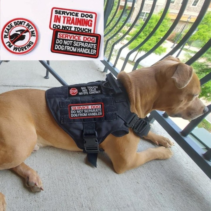 1Pc Service Hund Abzeichen Ausbildung Hund Moral Abzeichen Klett Bestickt Hund Mantel Abzeichen A