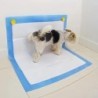 Hunde-Pipi-Pad-Halter für die Wand, Töpfchen-Pad-Halter mit starkem Klebstoff und Magneten, Töpfchen-Pad-Halter für die Innen