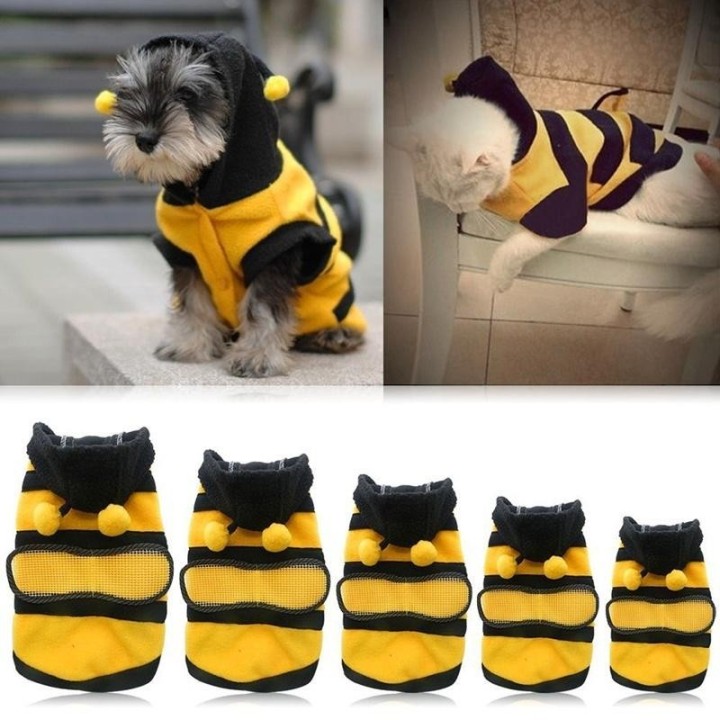 Bee Haustier Welpen Mantel Bekleidung Outfit Fleece Kleidung Hund Katze Hoodie Phantasie Kostüm Halloween Cosplay Pullover Hu