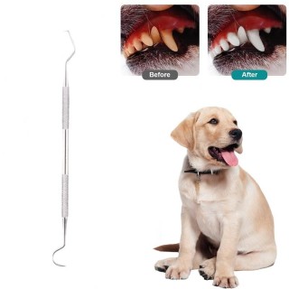 Zahnreinigungswerkzeug für Haustiere aus Edelstahl zum Entfernen von Flecken und Zahnstein.. Dentales Endoskopisches Pflegese
