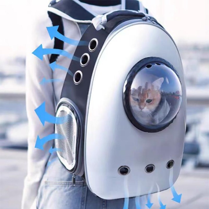 Umhängetasche für Haustierausflüge, 1 Stück, Umhängetasche für Katzen, atmungsaktiv, tragbar, faltbar, transparent, große Kap