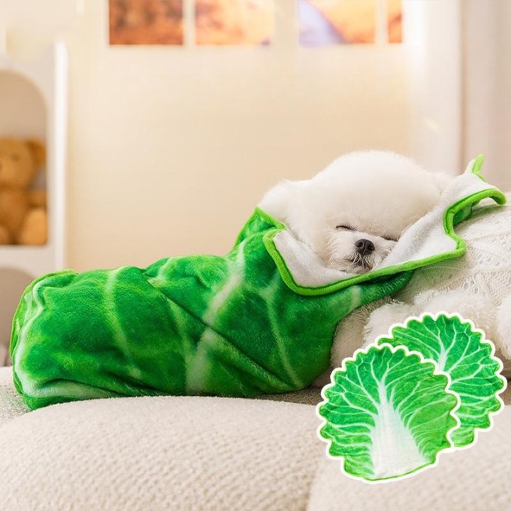 Niedliche Hundedecke mit Kohlmotiv, lustige Flanelldecke, Katze, Winter, warme Steppdecke, Bichon Teddy, universell für klein