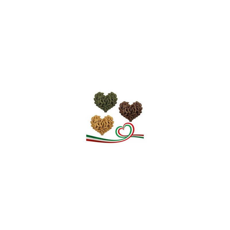 Hunde-Nudeln - Rigatoni - [Lachs & Meeresalgen - 1 x 125g]