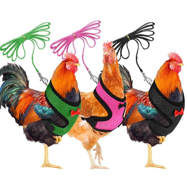 Weiches Haustier-Netzgeschirr mit Leine, Weste für Kleintiere, Leine für Hühner, verstellbares Seil mit Leine und passendem G