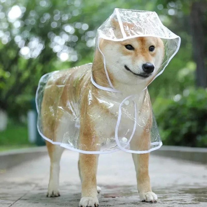 Haustier Hund Welpen Transparente Regenbekleidung Regenmantel Haustier Mit Kapuze Wasserdichte Jacke Kleidung Weiche PVC Klei