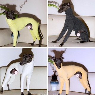 Haustier Winter Warmer Pullover mit hohem Kragen Windhund Hundeweste Jacke Verdicken Whippet Mantel Pullover Für Mittelgroße