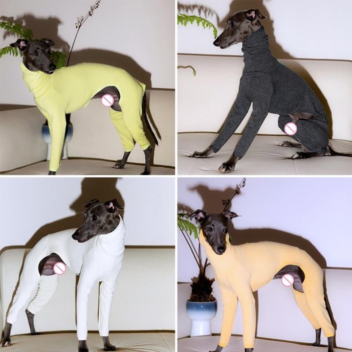 Haustier Winter Warmer Pullover mit hohem Kragen Windhund Hundeweste Jacke Verdicken Whippet Mantel Pullover Für Mittelgroße